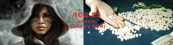 гашик Богородицк