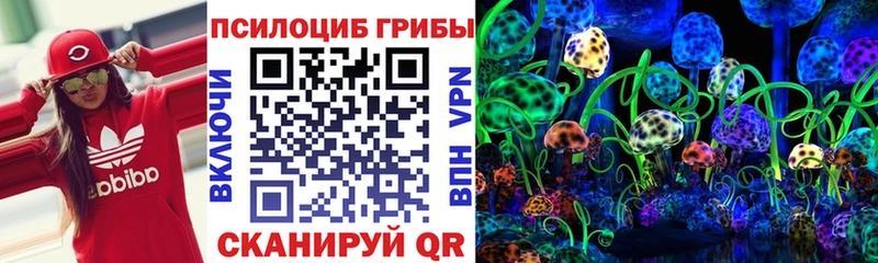 Галлюциногенные грибы Magic Shrooms  Городище 